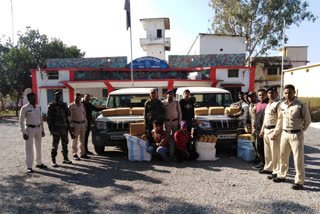 Two quintal hemp seized