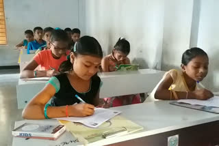 navodaya exam