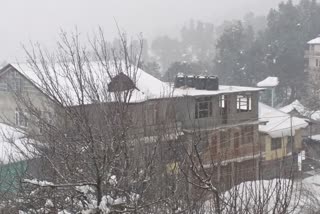 snowfall started in kinnaur