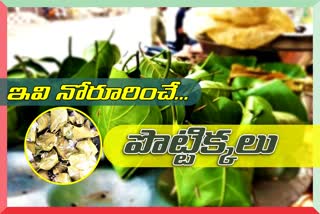 పనసాకు పొట్టిక్క - రుచిలో దిట్టక్క