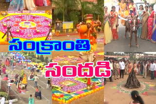 Sankranthi celebrations