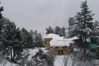 heavy snowfall in kinnaur