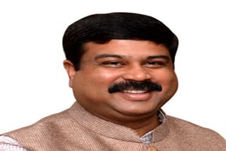 sebc should be a part of census, sebc should get reservation, dharmendra pradhan on sebc, SEBC ପ୍ରସଙ୍ଗରେ ଧର୍ମେନ୍ଦ୍ରଙ୍କ ପ୍ରତିକ୍ରିୟା, ଜନଗଣନାରେ ସାମିଲ ହେଉ SEBC, SEBCକୁ ମିଳୁ ସଂରକ୍ଷଣ