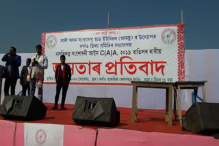 aamsu protest against caa in morigaon