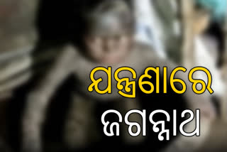 ଅସହାୟ ହେଉଛି କଷ୍ଟ, ଯନ୍ତ୍ରଣାରେ ଛଟପଟ ଜଗନ୍ନାଥ