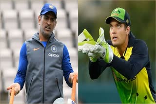want-to-learn-as-much-as-i-can-from-dhoni-said-alex-carey