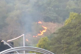 Mumbai Fire in Sanjay Gandhi National Park