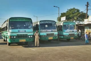 on-pongal-season-govt-bus-bookings-got-more-than-9-crore-says-tnstct