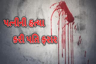 પોરબંદરના વડાળા ગામની સીમ વિસ્તારમાં પત્નીની હત્યા કરી પતિ ફરાર