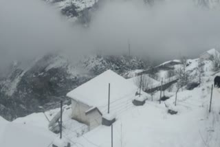 Heavy snowfall in Pangi valley