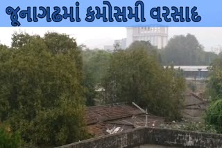 junagadh