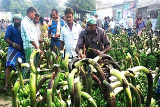 பொங்கல் பண்டிகையை முன்னிட்டு வாழைத்தாரின் விலை அதிகரிப்பு