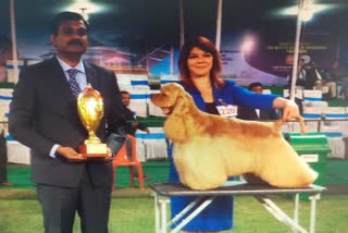 Dog show competition concludes in Jamshedpur