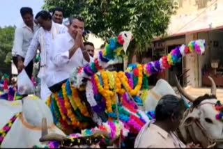 Celebrating sankranthi festivel