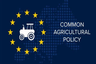 Immoral and Illogical European Farm Subsidies