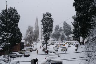 electricity problem in kinnaur due to snowfall