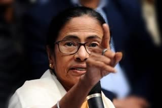 mamata