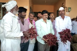 Red chili selling 33 thousand rupees