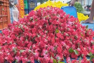 Special Flower Market