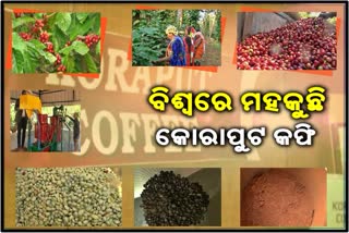 ଅର୍ଥନୀତିରେ ଗୁରୁତ୍ବପୂର୍ଣ୍ଣ ଭୂମିକା ଧାରଣ କରିଛି କଫି ଚାଷ