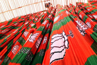 BJP to woo Delhi poor with water, electricity at Re 1
