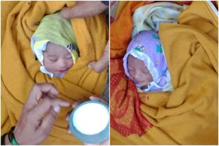 two-infants-found-abandoned-in-maharashtra