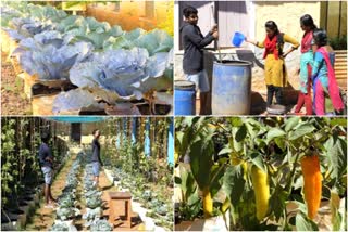 The farmers were given new knowledge; rajakumari Vocational Higher Secondary School  കർഷകർക്ക് പുതിയ അറിവുകൾ പകർന്നു നൽകി രാജകുമാരി വൊക്കേഷണൽ ഹയർ സെക്കന്‍ററി സ്‌കൂൾ  രാജകുമാരി വൊക്കേഷണൽ ഹയർ സെക്കന്‍ററി സ്‌കൂൾ  rajakumari Vocational Higher Secondary School