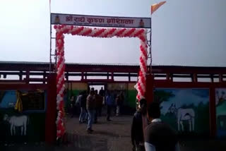 First Gaushala inaugurated in Agar-Malwa