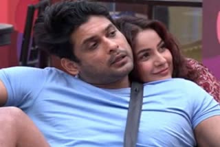 shehnaz gill and siddharth shukla