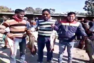 BTC MCL distributed fish among masses at baksha