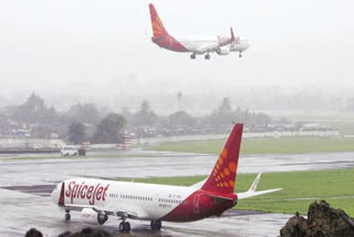 SpiceJet announces 4 new domestic flights starting next month