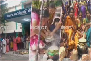 பொங்கல் விழா ...  pongal celeberation in all over school and college  சமத்துவப் பொங்கல் விழா  அம்மாபேட்டை  காடம்பாடி தனியார் பள்ளி பொங்கல் விழா  அரவக்குறிச்சி வட்டாட்சியர் பொங்கல் விழா  கரூர் மருத்துவக் கல்லூரி மாணவர்கள் சமத்துவப் பொங்கல்  என்.எஸ். பெண்கள் கலை மற்றும் அறிவியல் கல்லூரி பொங்கல் விழா