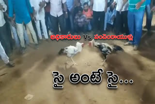 cock fight starts in West godavari