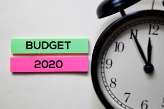 Should the upcoming budget provide a fiscal stimulus to the economy an Article by Puja Mehra