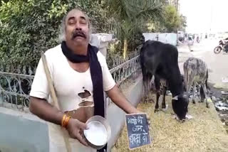 actor kedar singh begging  in road for Stray animals