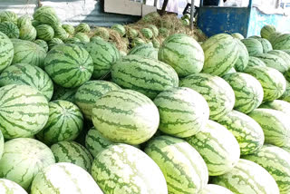 The watermelon season that started just before summer!
