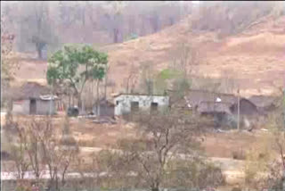 Mafia occupied land of tribal in Umaria