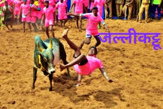 jallikattu-competition-in-tamil-nadu