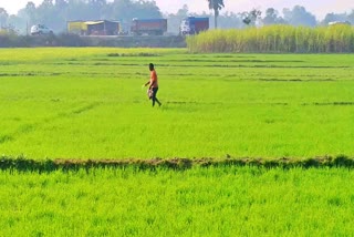 gopalganj