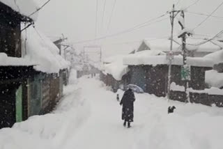 J&K: Fresh snow fall visuals  കശ്‌മീരിൽ കനത്ത മഞ്ഞുവീഴ്‌ച  കശ്‌മീരിൽ അതിശൈത്യം