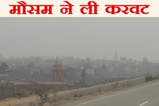 कोटा लेटेस्ट न्यूज, कोटा मौसम का हाल, कोटा में शीतलहर का कहर, kota latest hindi news, kota weather report, cold increases in kota