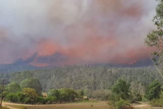 The tiny village of Nerrigundah in New South Wales has been among the hardest hit by Australia's devastating wildfires