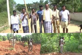 Forest Department special camp for capture the Leopard