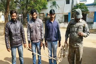 3 cyber criminals arrested in jamtara