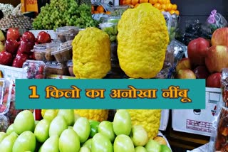 पथरी ठीक करने वाला नींबू, भीलवाड़ा लेटेस्ट न्यूज, bhilwara latest news, bhilwara special lemon, 1 kg lemon