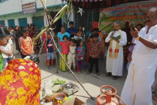 Pongal celebration at thoothukudi church