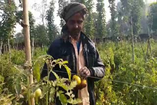 Dumka farmers, farming in Dumka, barren land dumka, fertile land in dumka, दुमका के किसान, दुमका में खेती, बंजर जमीन, उपजाऊ जमीन