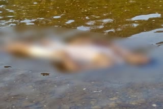 death-of-ayyappa-maladhari-in-bhadra-river