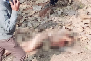 Maha: Beheaded body of woman found in Bhilvadi, black magic suspected