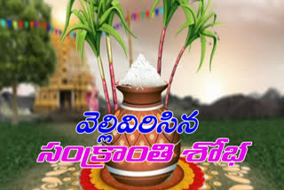 sankranthi